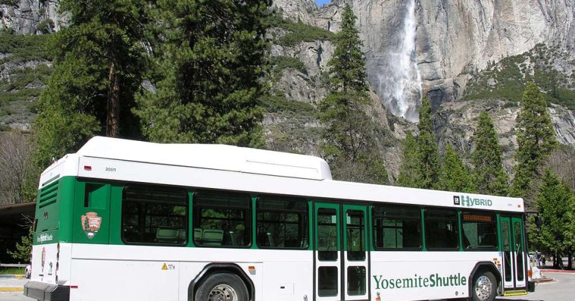 The Transformative Role of Information Technology in Bus Transits