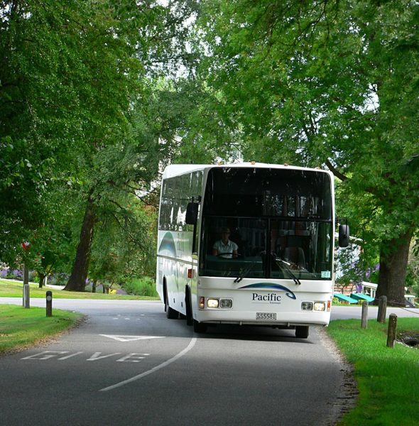 transit metro schedule bus passes by trees