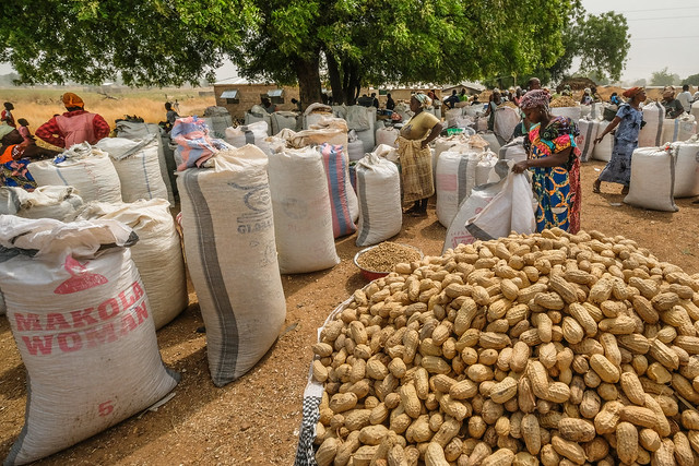 GROUNDNUTS IN A SACK 