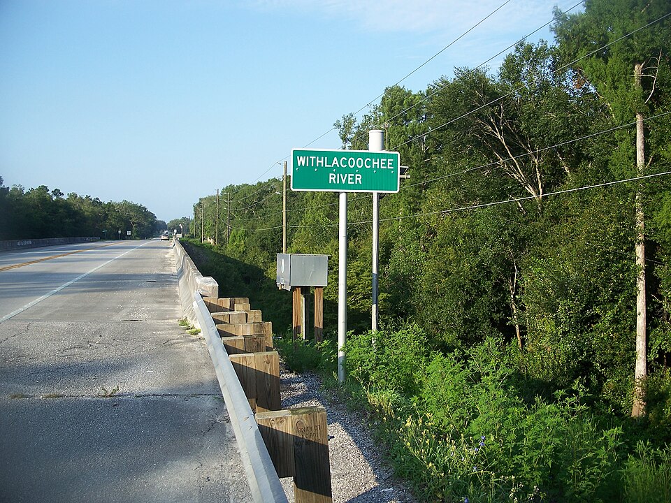 a pasco bus route with trees