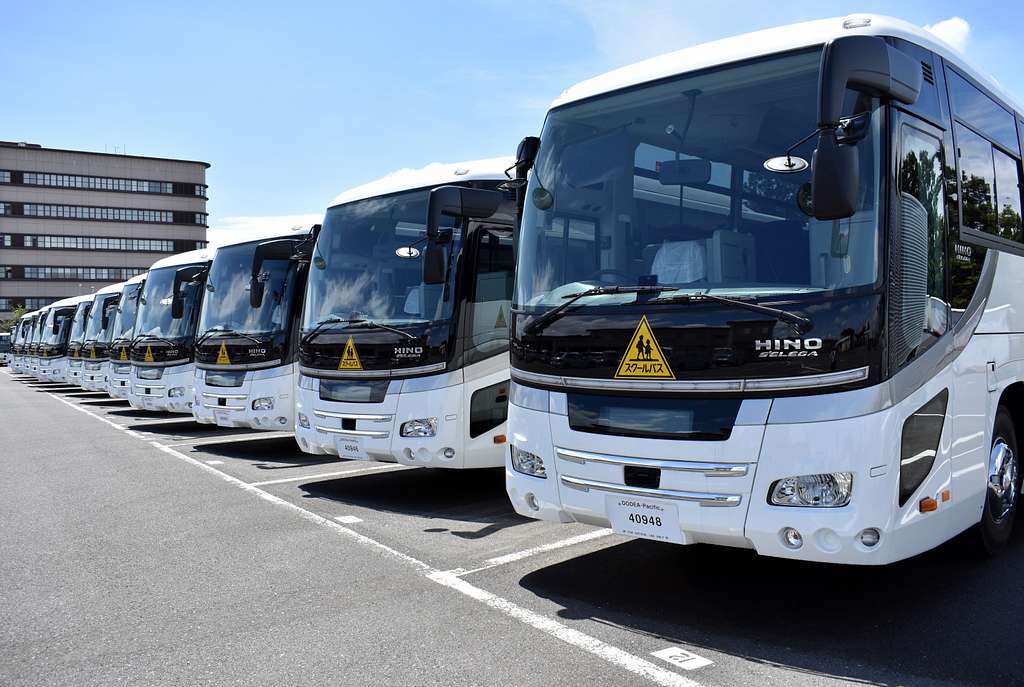 a line up of Quincy buses