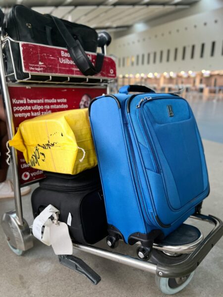 Passenger baggage on a cart