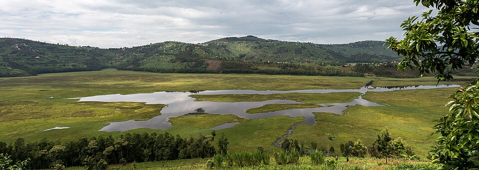 A wetland at the base of a mountain