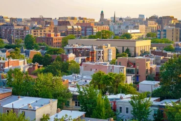 Green space in a city