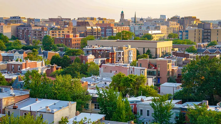 Green space in a city