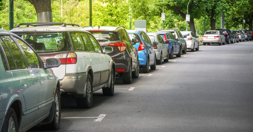 What are the two types of parking assists?